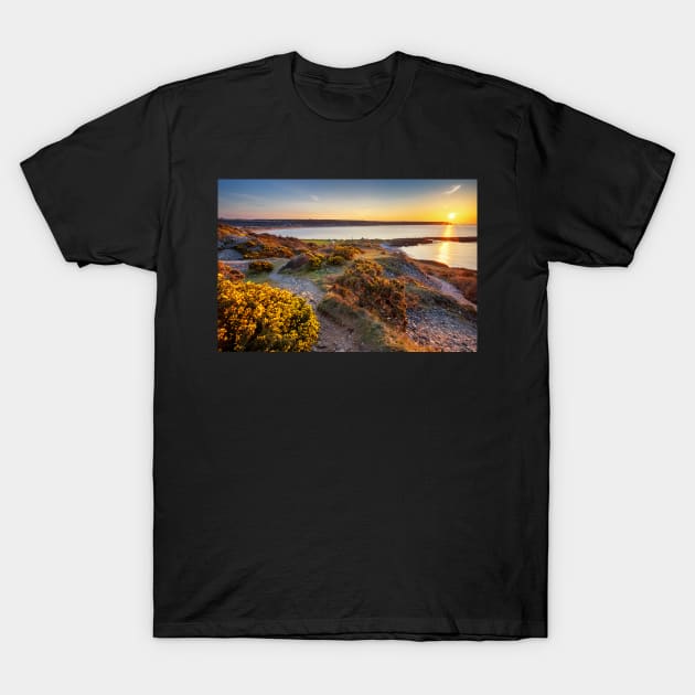 Port Eynon Bay, Gower T-Shirt by dasantillo